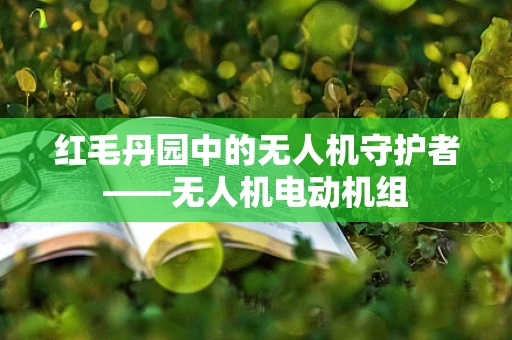 红毛丹园中的无人机守护者——无人机电动机组