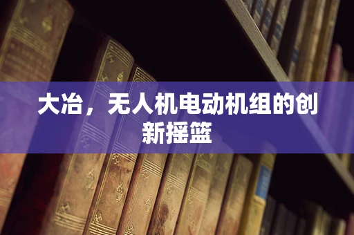 大冶，无人机电动机组的创新摇篮