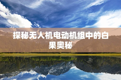 探秘无人机电动机组中的白果奥秘
