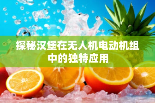 探秘汉堡在无人机电动机组中的独特应用