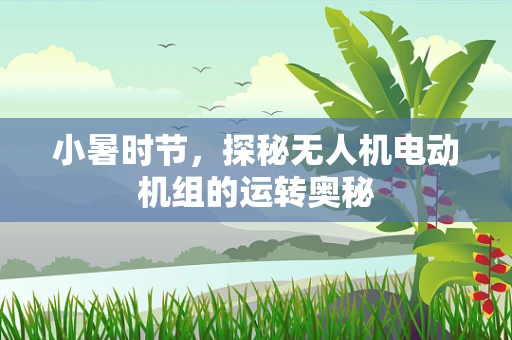 小暑时节，探秘无人机电动机组的运转奥秘
