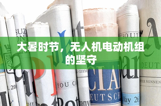 大暑时节，无人机电动机组的坚守