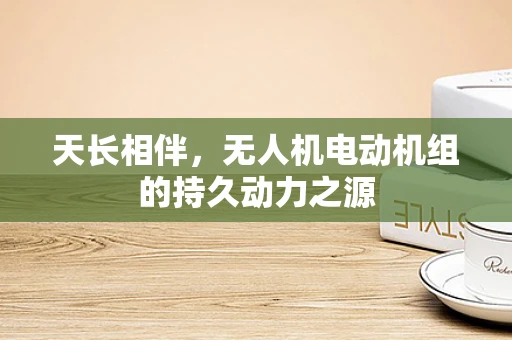 天长相伴，无人机电动机组的持久动力之源