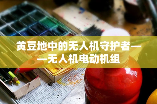 黄豆地中的无人机守护者——无人机电动机组