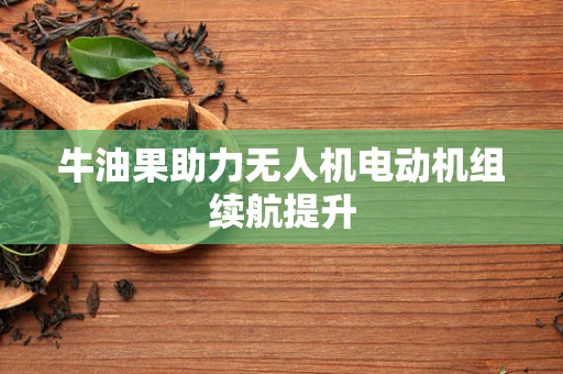 牛油果助力无人机电动机组续航提升