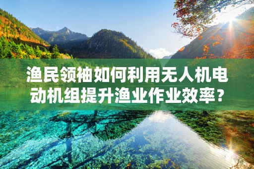 渔民领袖如何利用无人机电动机组提升渔业作业效率？