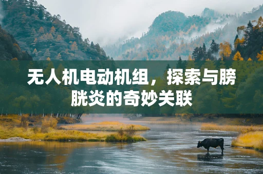 无人机电动机组，探索与膀胱炎的奇妙关联