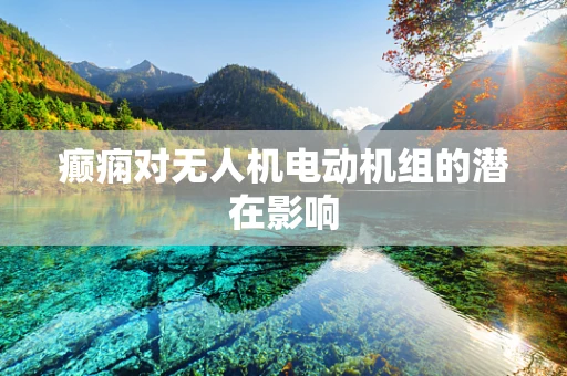 癫痫对无人机电动机组的潜在影响