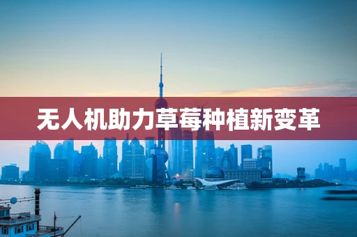 无人机助力草莓种植新变革