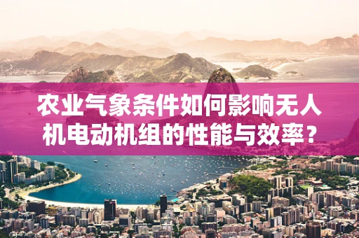 农业气象条件如何影响无人机电动机组的性能与效率？