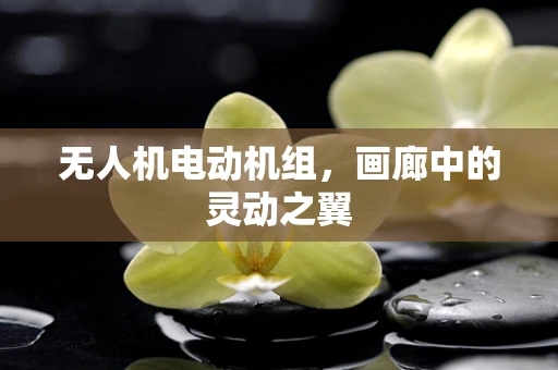 无人机电动机组，画廊中的灵动之翼