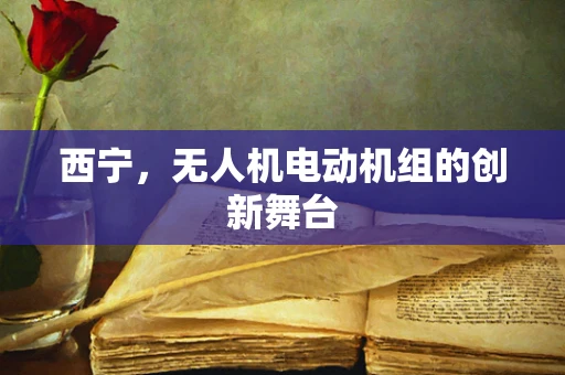 西宁，无人机电动机组的创新舞台
