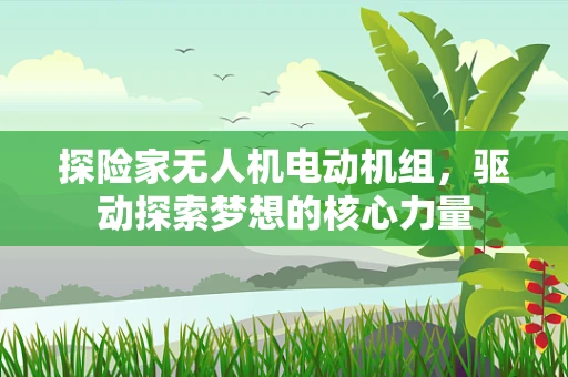 探险家无人机电动机组，驱动探索梦想的核心力量