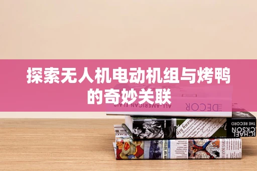 探索无人机电动机组与烤鸭的奇妙关联