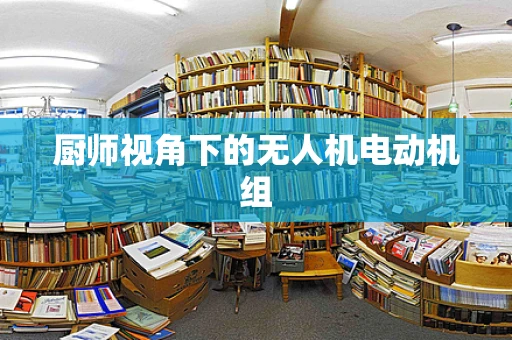 厨师视角下的无人机电动机组