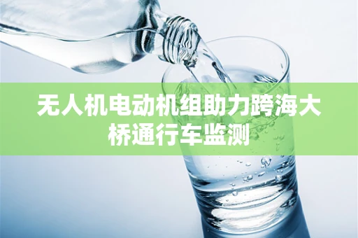 无人机电动机组助力跨海大桥通行车监测