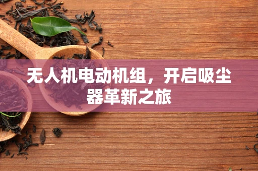 无人机电动机组，开启吸尘器革新之旅