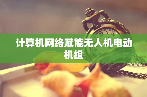 计算机网络赋能无人机电动机组