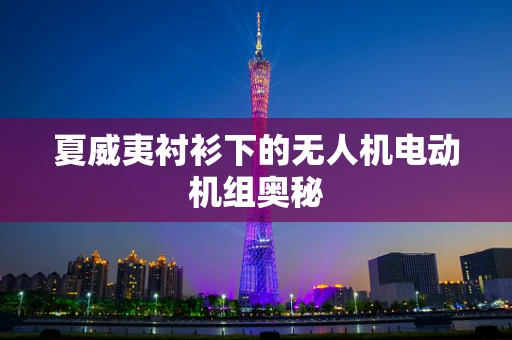 夏威夷衬衫下的无人机电动机组奥秘