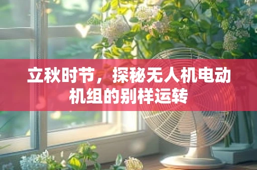 立秋时节，探秘无人机电动机组的别样运转