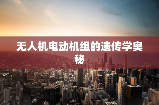 无人机电动机组的遗传学奥秘