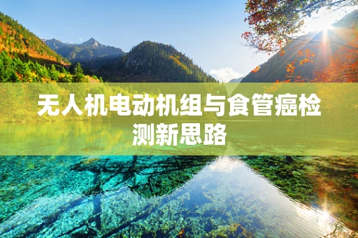 无人机电动机组与食管癌检测新思路