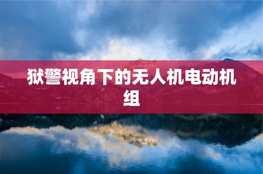 狱警视角下的无人机电动机组