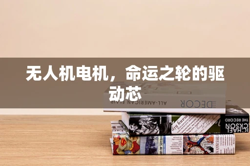 无人机电机，命运之轮的驱动芯