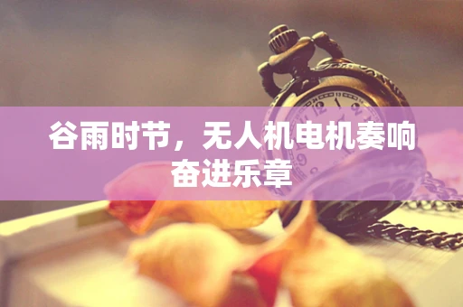 谷雨时节，无人机电机奏响奋进乐章
