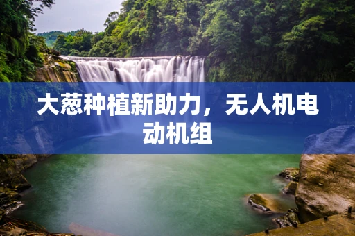 大葱种植新助力，无人机电动机组
