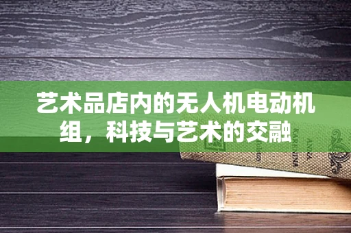 艺术品店内的无人机电动机组，科技与艺术的交融