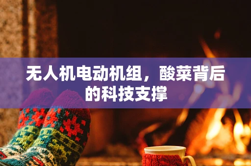 无人机电动机组，酸菜背后的科技支撑