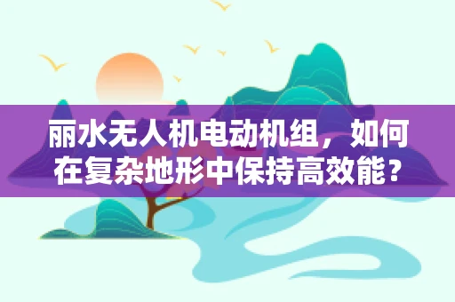 丽水无人机电动机组，如何在复杂地形中保持高效能？
