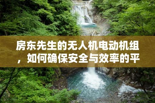 房东先生的无人机电动机组，如何确保安全与效率的平衡？