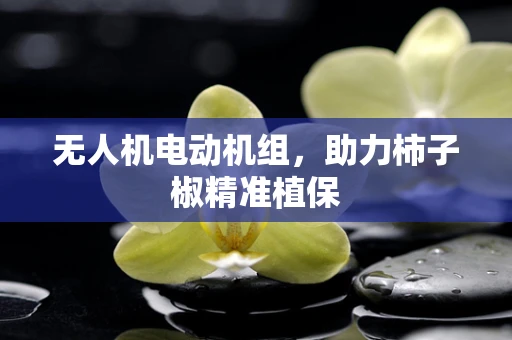 无人机电动机组，助力柿子椒精准植保