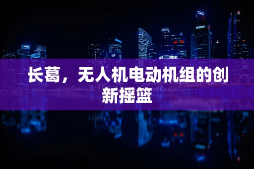 长葛，无人机电动机组的创新摇篮