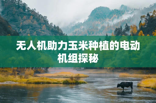 无人机助力玉米种植的电动机组探秘