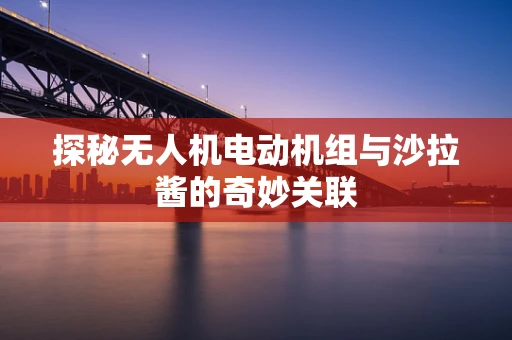 探秘无人机电动机组与沙拉酱的奇妙关联