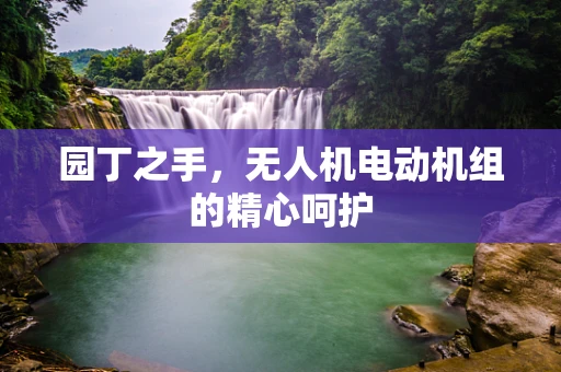 园丁之手，无人机电动机组的精心呵护