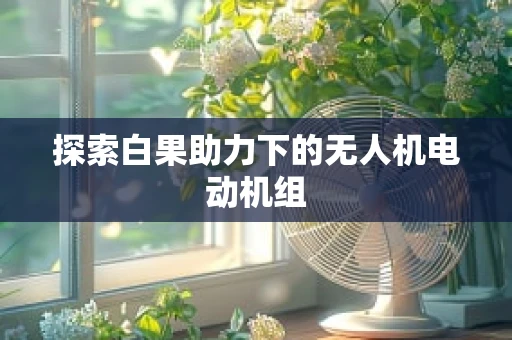 探索白果助力下的无人机电动机组