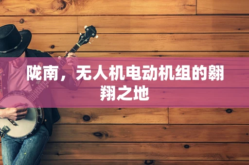 陇南，无人机电动机组的翱翔之地