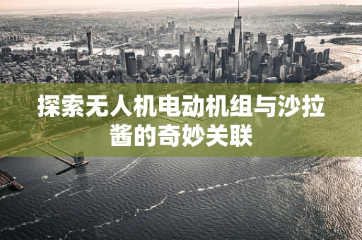 探索无人机电动机组与沙拉酱的奇妙关联