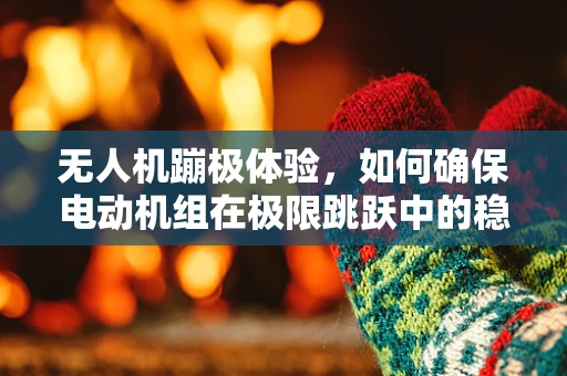 无人机蹦极体验，如何确保电动机组在极限跳跃中的稳定与安全？