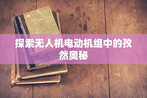 探索无人机电动机组中的孜然奥秘