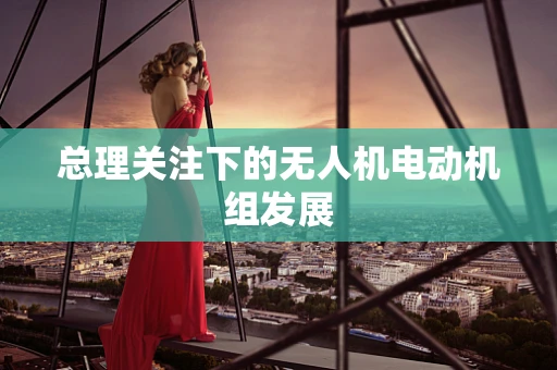 总理关注下的无人机电动机组发展