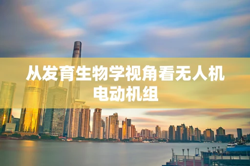 从发育生物学视角看无人机电动机组