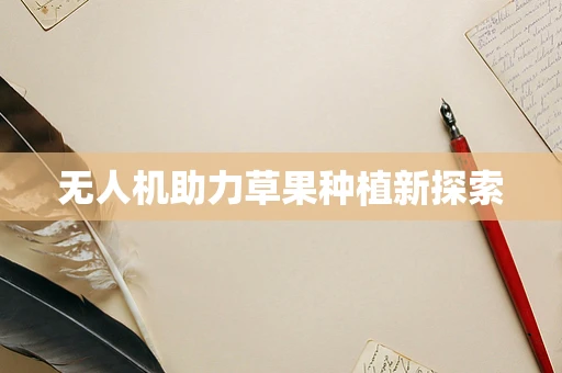 无人机助力草果种植新探索