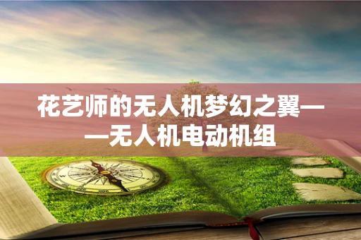 花艺师的无人机梦幻之翼——无人机电动机组