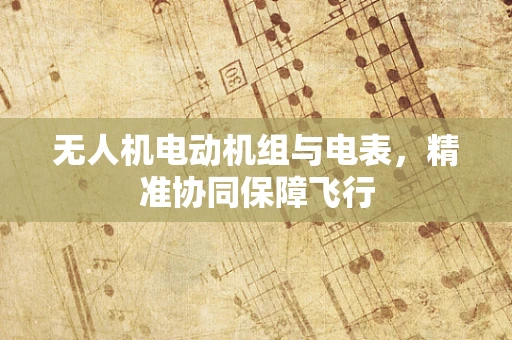 无人机电动机组与电表，精准协同保障飞行