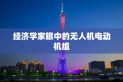 经济学家眼中的无人机电动机组
